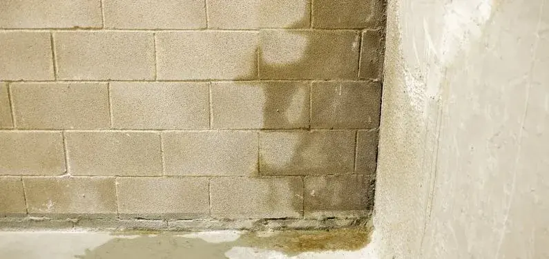 Water staining and damp marks on an interior wall — a clear sign of water damage