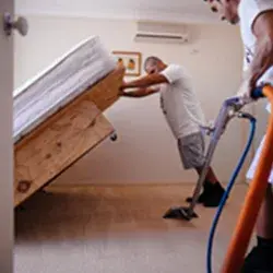 wet-carpet-drying