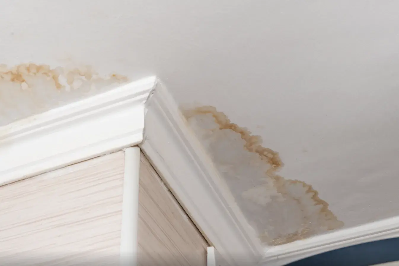 Water damage staining on a ceiling and cornice